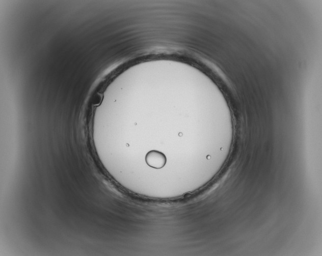 X0000115141018200911241501