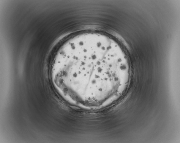 X0000115141019200911241501