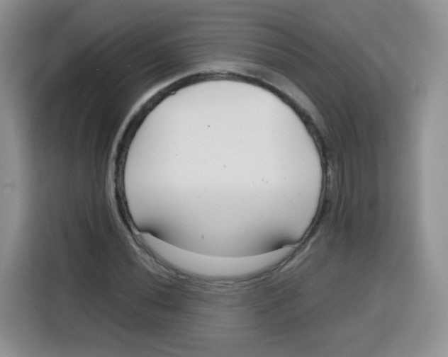 X0000115141020200911241501