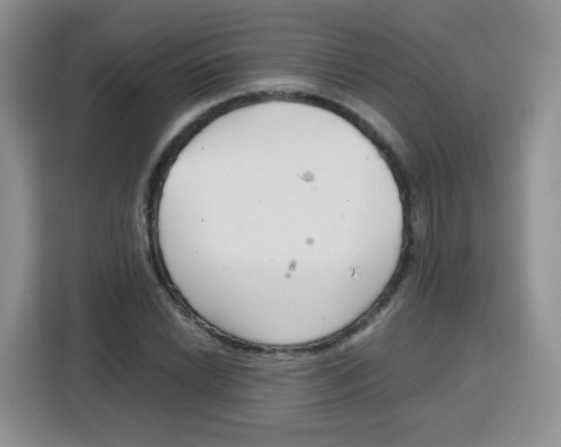 X0000115141022200911241501