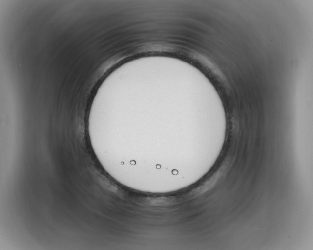 X0000115141025200911241501