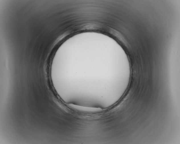 X0000115141026200911241501