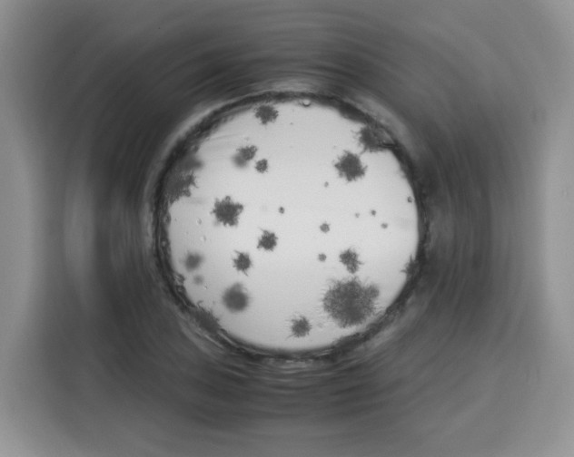 X0000115141027200911241501