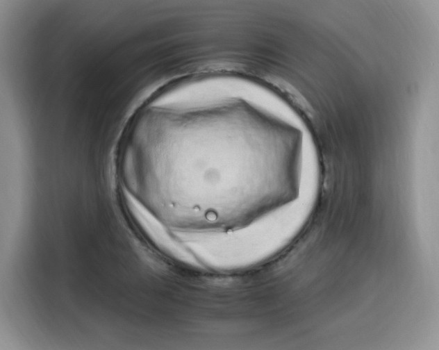 X0000115141031200911241501