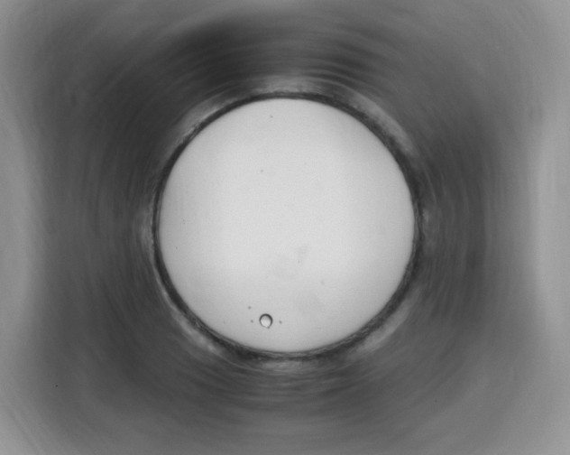 X0000115141033200911241501