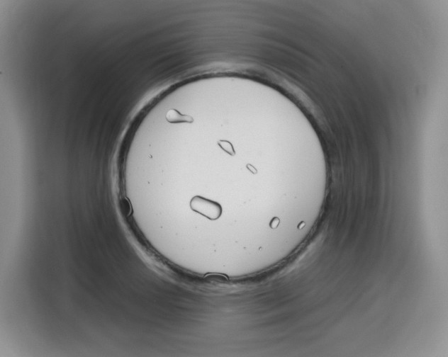 X0000115141034200911241501