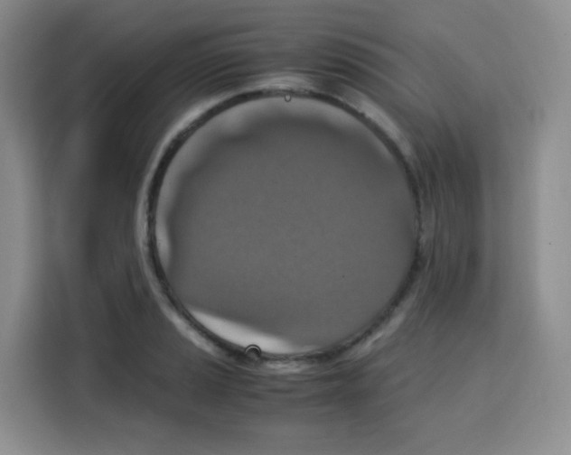 X0000115141037200911241502
