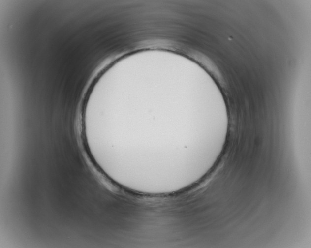 X0000115141040200911241502