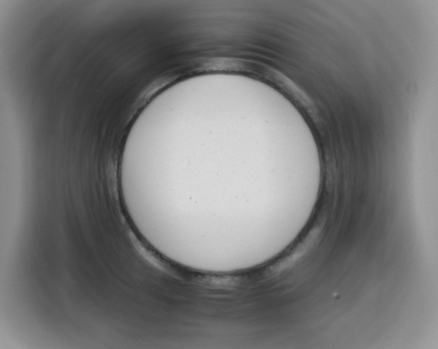 X0000115141041200911241502