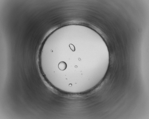 X0000115141042200911241502
