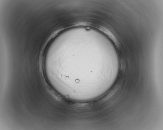 X0000115141043200911241502