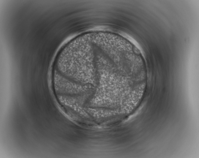 X0000115141045200911241502