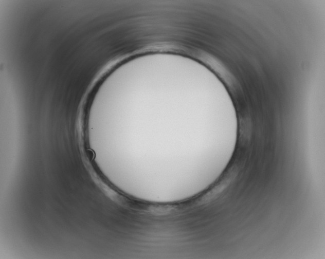 X0000115141046200911241502