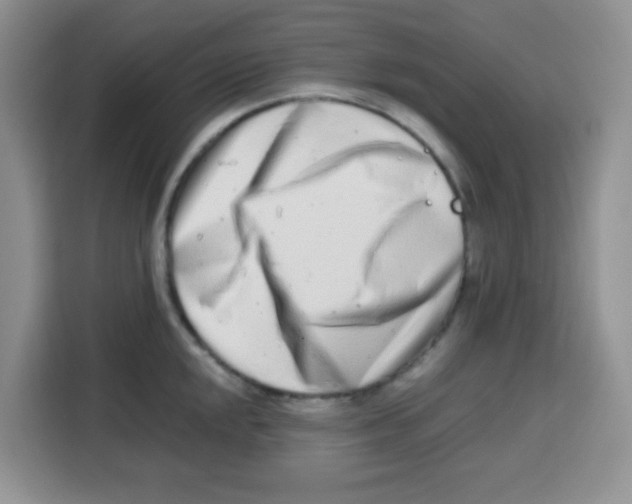 X0000115141048200911241502
