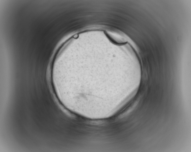 X0000115141053200911241502