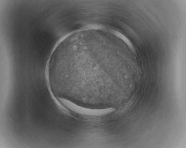 X0000115141055200911241502