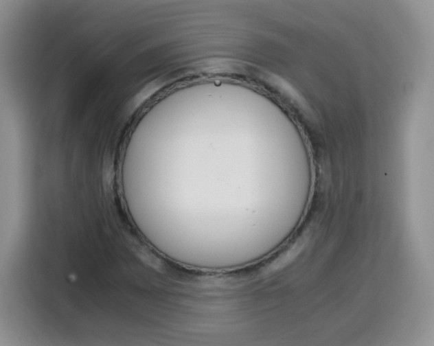 X0000115141065200911241501