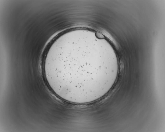 X0000115141068200911241501