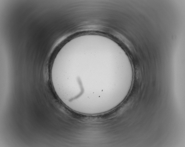 X0000115141069200911241501