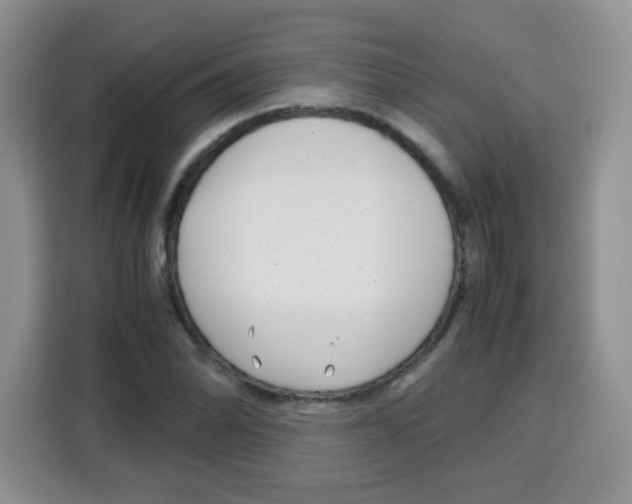 X0000115141070200911241501