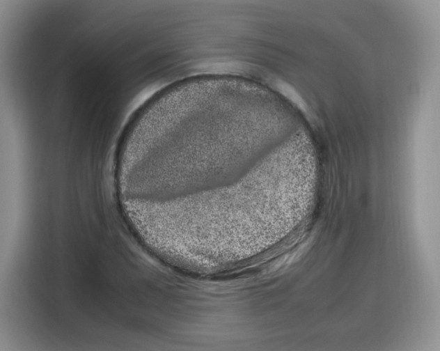 X0000115141071200911241501