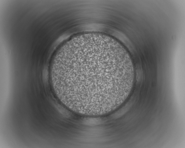X0000115141074200911241501