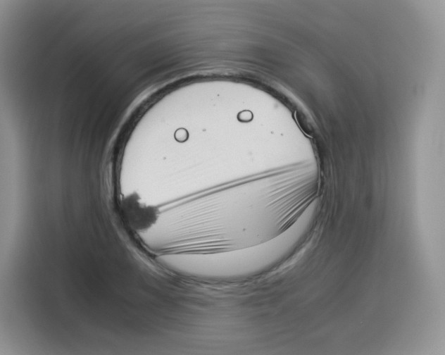 X0000115141075200911241501