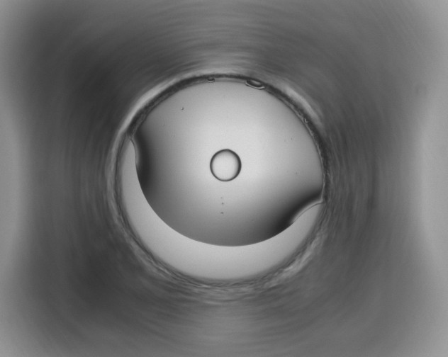 X0000115141077200911241501