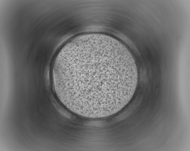 X0000115141078200911241501