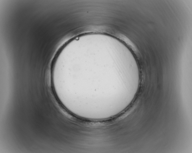 X0000115141079200911241501