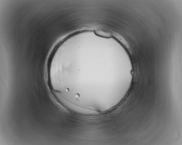 X0000115141080200911241501