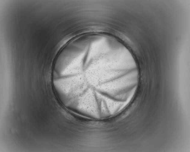 X0000115141081200911241501