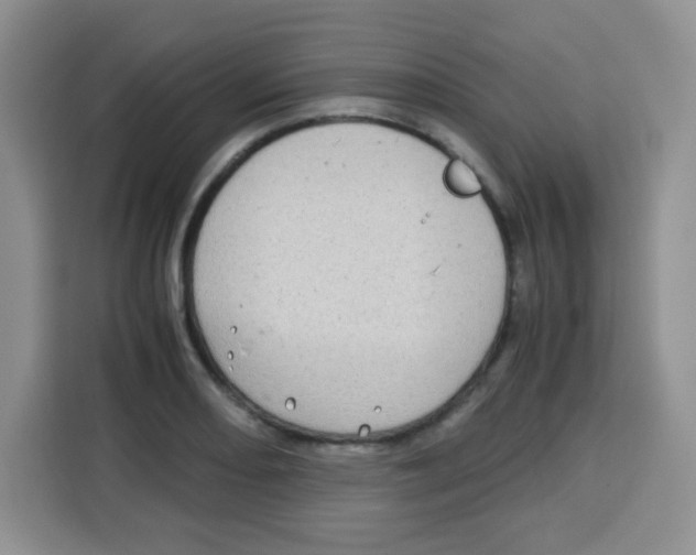 X0000115141082200911241501