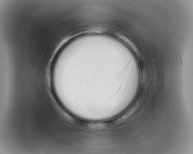 X0000115141083200911241501
