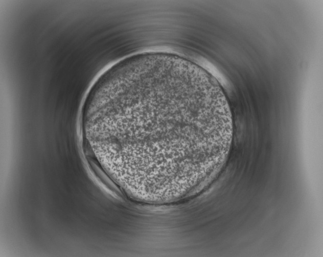 X0000115141084200911241501