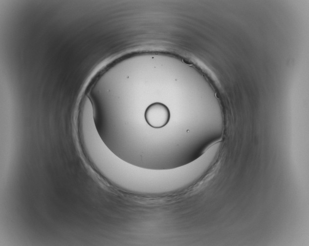 X0000115141085200911241501