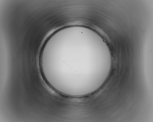 X0000115141086200911241501