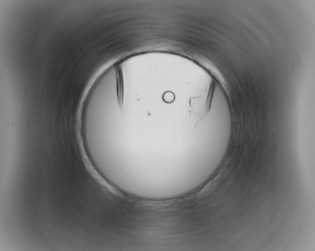 X0000115141088200911241501