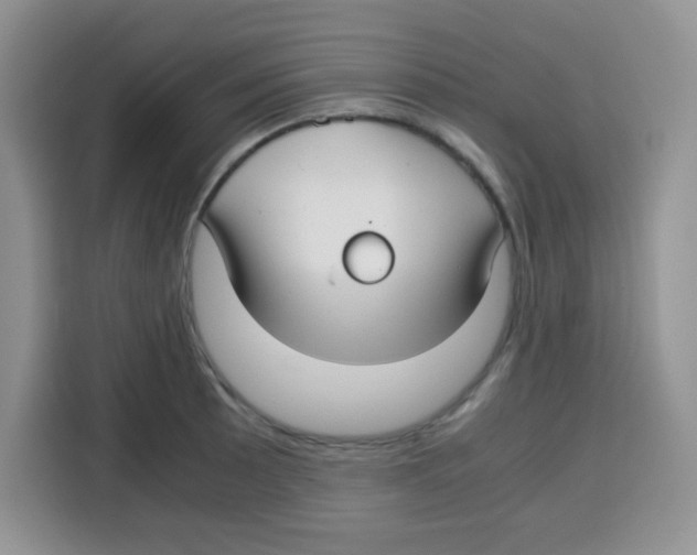 X0000115141089200911241501