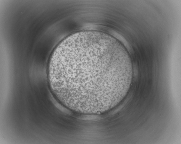 X0000115141090200911241501