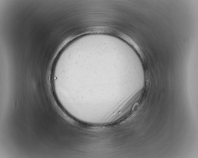 X0000115141091200911241501