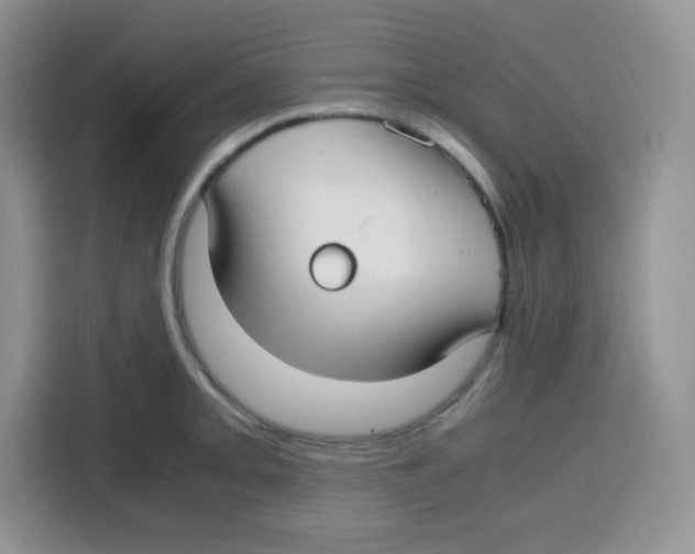 X0000115141093200911241501