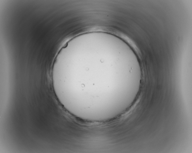 X0000115141097200911241501