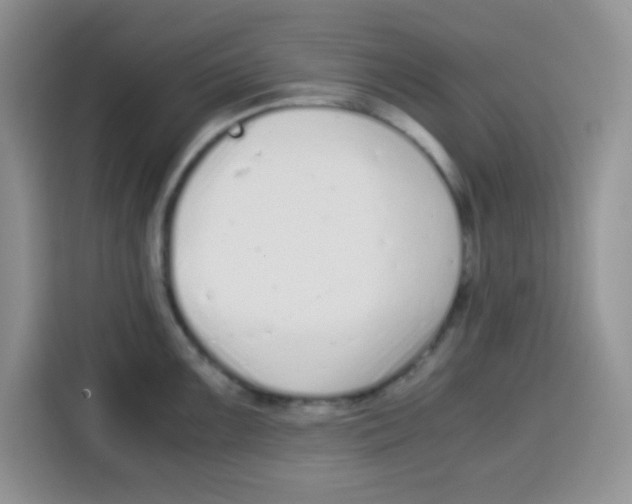X0000115141099200911241501