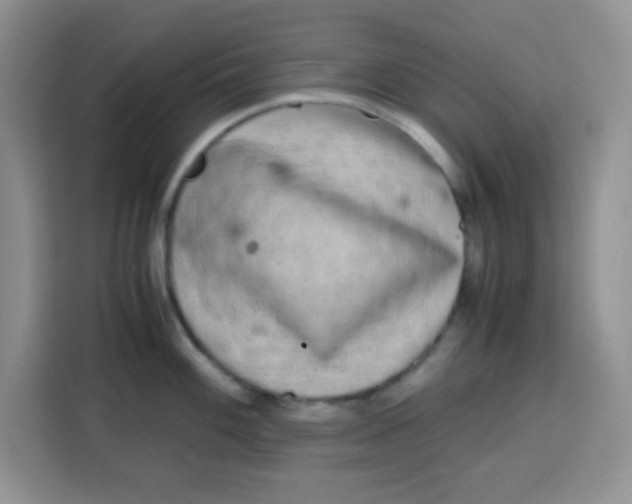 X0000115141100200911241501