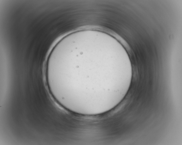 X0000115141102200911241501