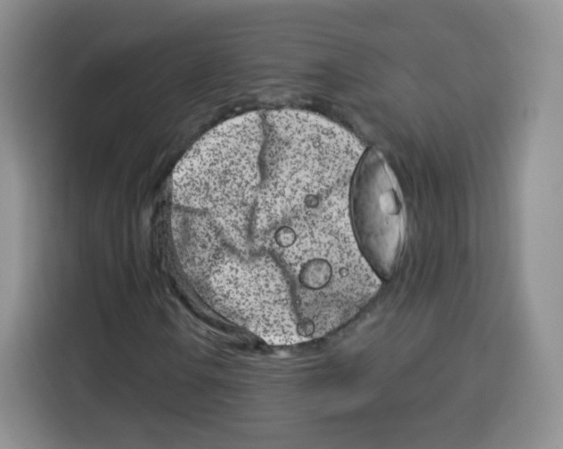 X0000115141106200911241500