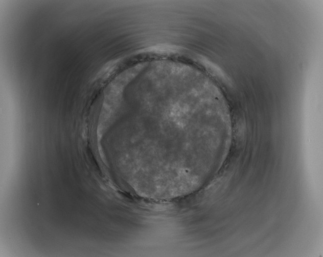 X0000115141110200911241500