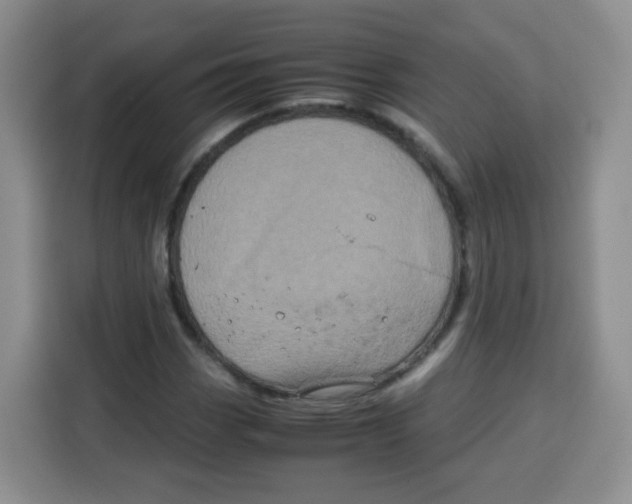 X0000115141113200911241500