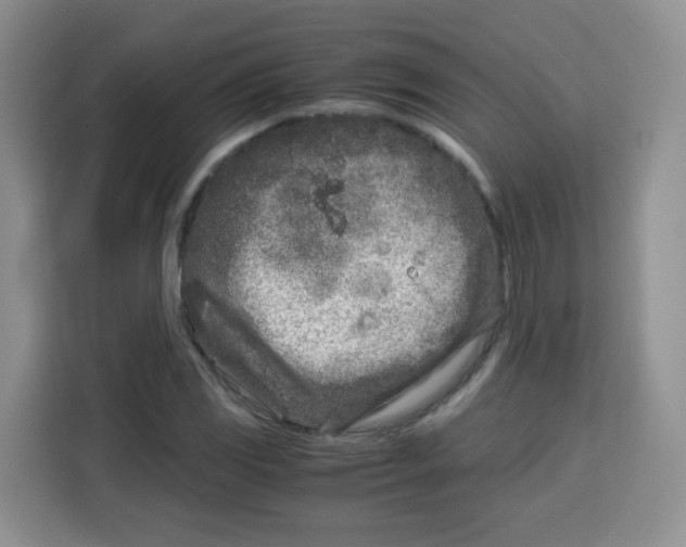 X0000115141117200911241500